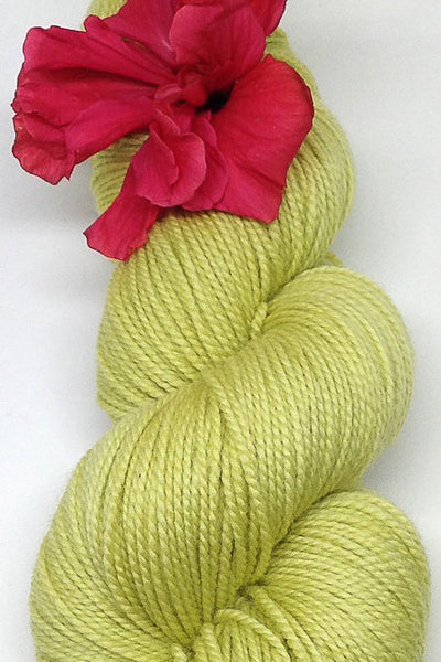 Hibiscus red